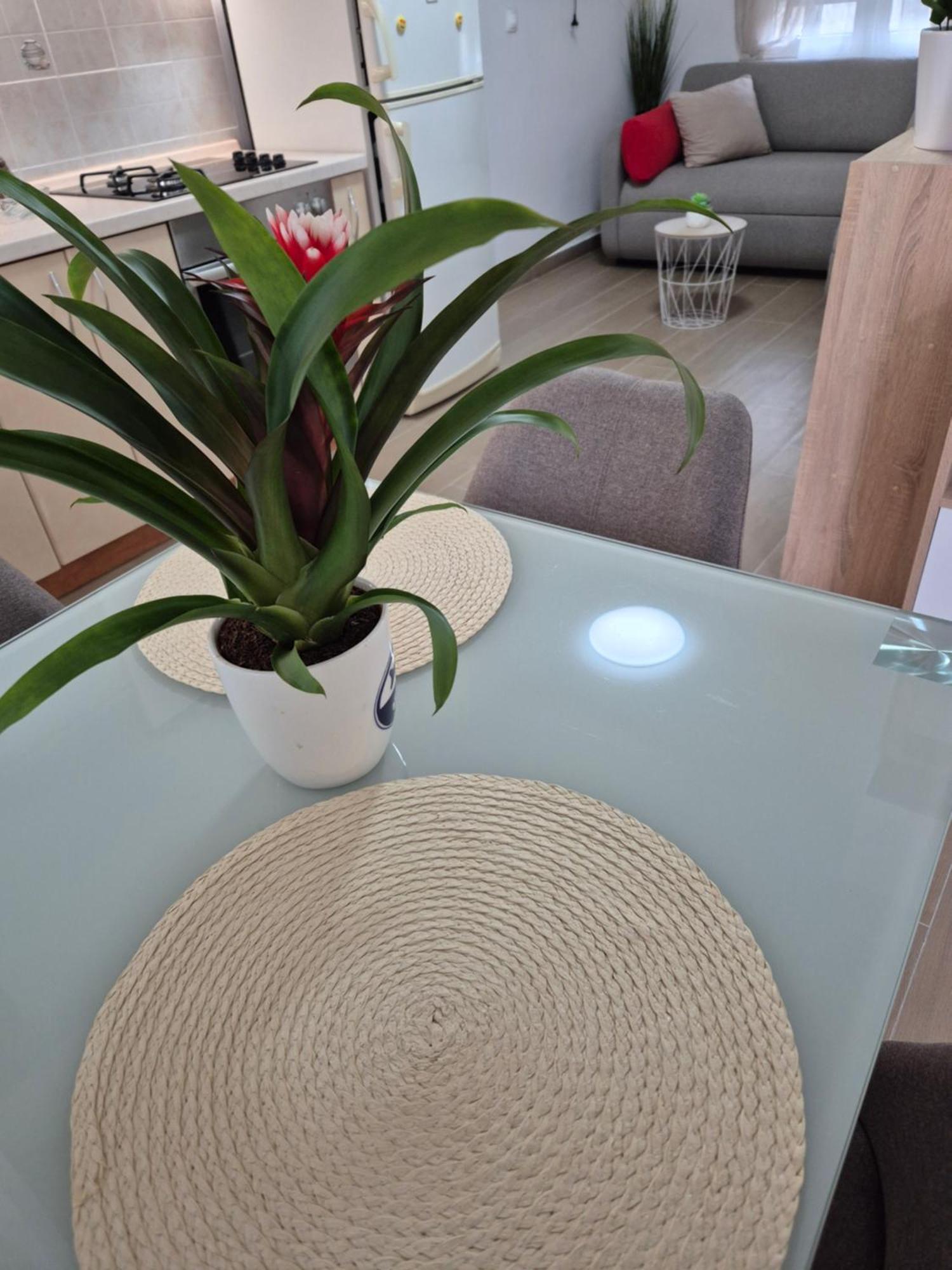 Apartments Duje سبليت الغرفة الصورة